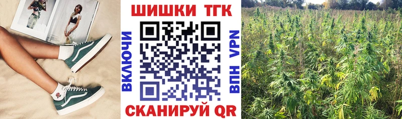 Магазины продажи наркотиков Новоалександровск Бошки Шишки  Мефедрон  A PVP  Гашиш 