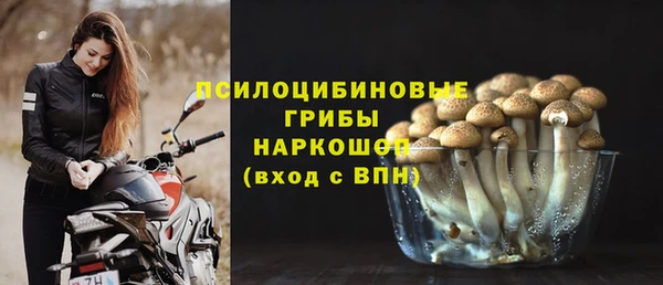 соль ск Алексеевка