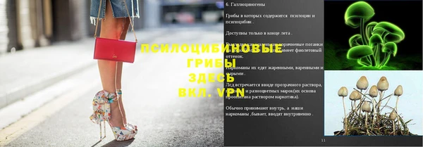 МДПВ Абаза