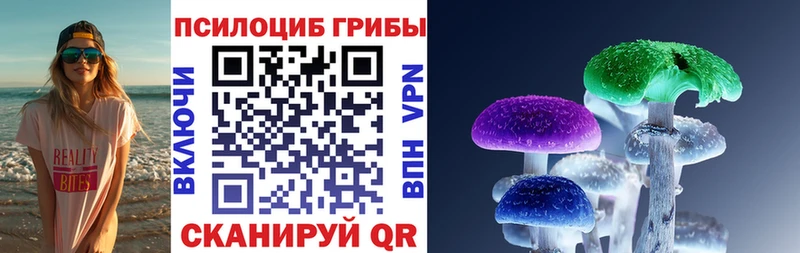 OMG зеркало  продажа наркотиков  Новоалександровск  Псилоцибиновые грибы Psilocybine cubensis 