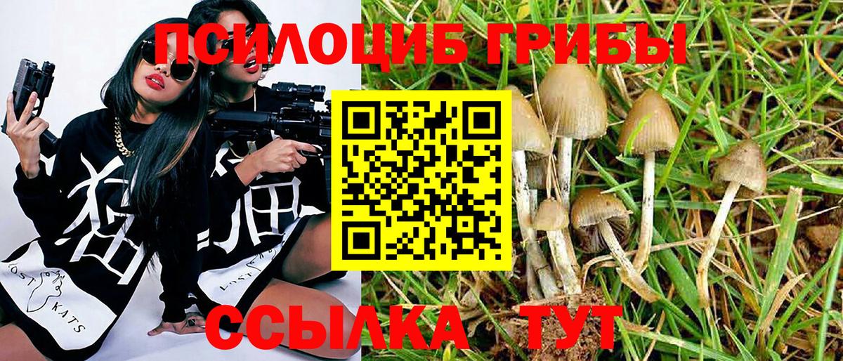 Канабис  ГАШ  НБОМе  Новоалександровск  Меф   ГАШИШ  Вход с VPN  Alpha-PVP СОЛЬ  