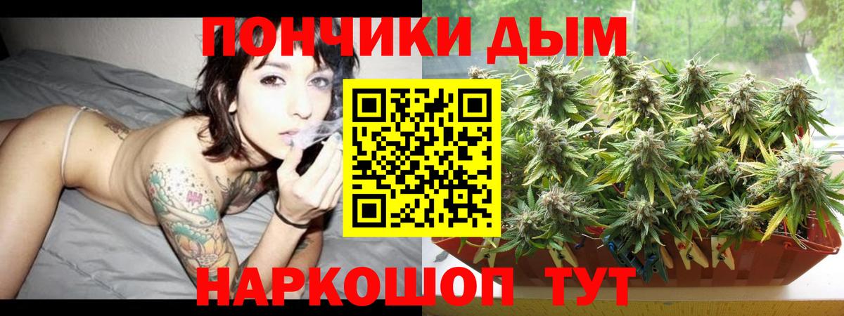 Бошки марихуана план  Вход с VPN  Шишки марихуана сатива  Бошки марихуана OG Kush  Новоалександровск 